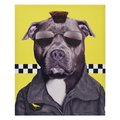 Empire Art Direct Empire Art Direct GIC-PR050-2016 High Resolution Pets Rock Giclee Printed on Cotton Canvas on Solid Wood Stretcher - Cabbie GIC-PR050-2016
